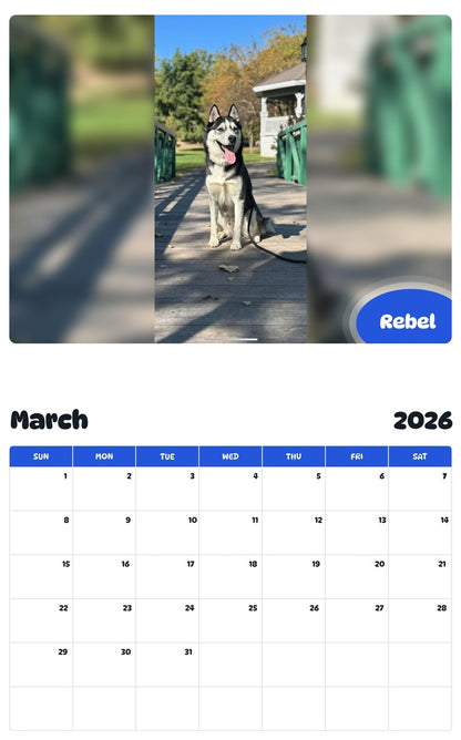 November 2025 - October 2026 Rebel - Pawidols Pet Calendar