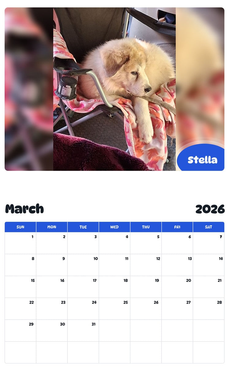 November 2025 - October 2026 Stella - Pawidols Pet Calendar