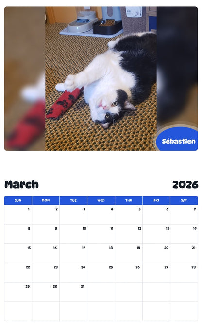 November 2025 - October 2026 Sébastien - Pawidols Pet Calendar