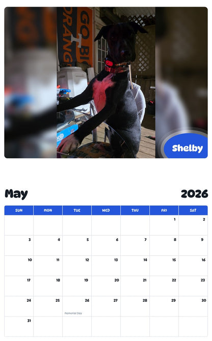 2026 - 2027 Shelby - Pawidols Pet Calendar