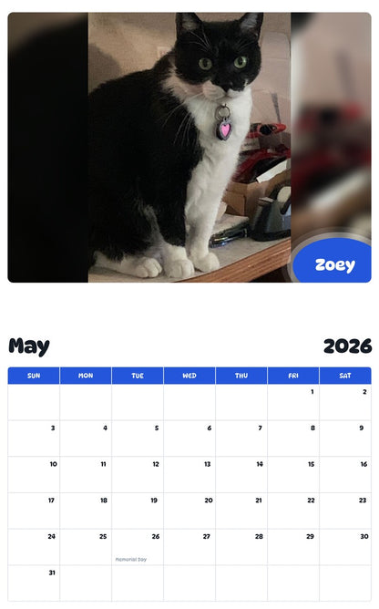 2026 - 2027 Zoey - Pawidols Pet Calendar