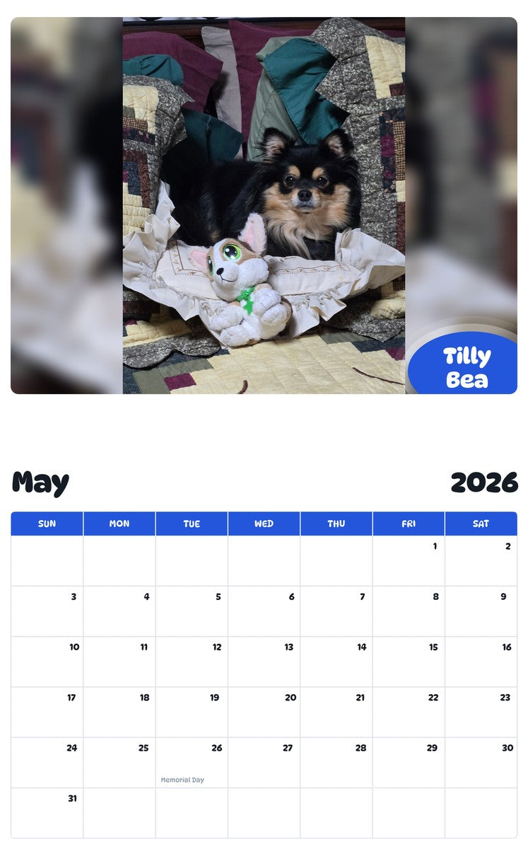 2026 - 2027 Tilly Bea - Pawidols Pet Calendar