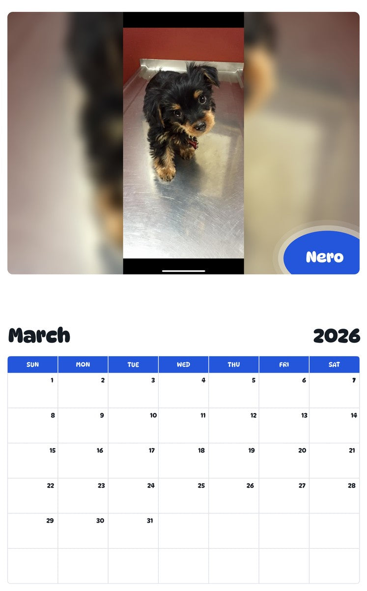 November 2025 - October 2026 Nero - Pawidols Pet Calendar