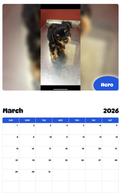 November 2025 - October 2026 Nero - Pawidols Pet Calendar