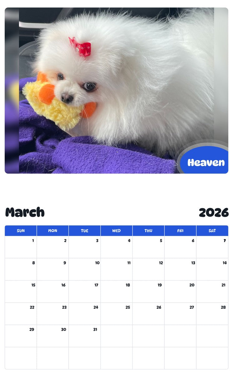 November 2025 - October 2026 Heaven - Pawidols Pet Calendar