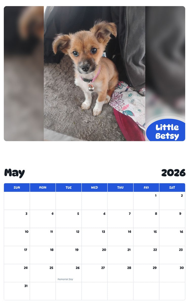 2026 - 2027 Little Betsy - Pawidols Pet Calendar