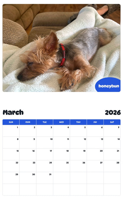 November 2025 - October 2026 honeybun - Pawidols Pet Calendar