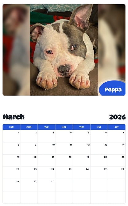 November 2025 - October 2026 Peppa - Pawidols Pet Calendar