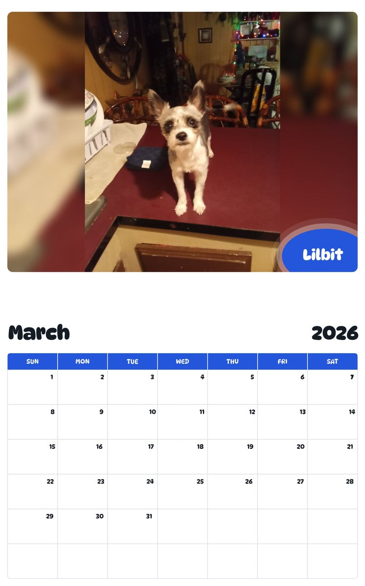 November 2025 - October 2026 Lilbit - Pawidols Pet Calendar