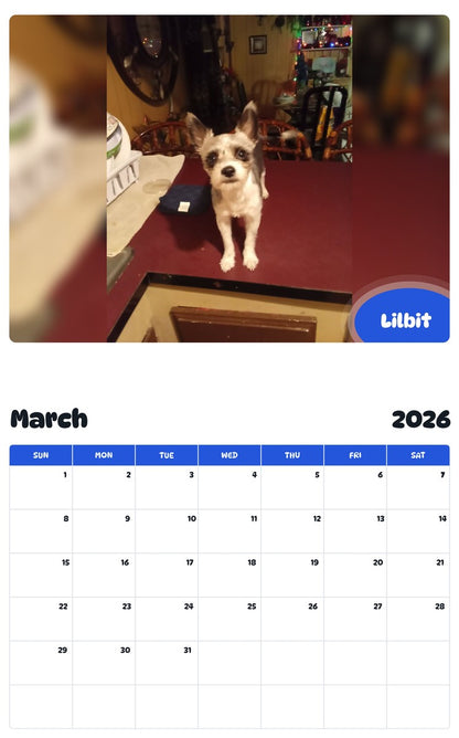 November 2025 - October 2026 Lilbit - Pawidols Pet Calendar