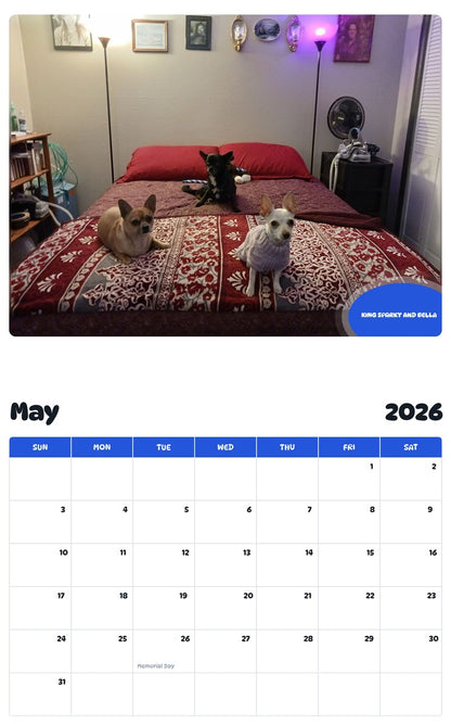 2026 - 2027 KING SPARKY AND BELLA - Pawidols Pet Calendar