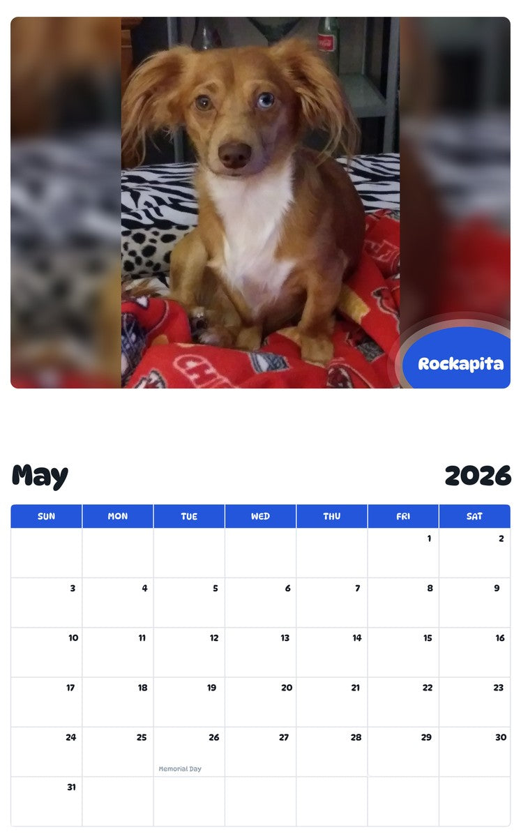 2026 - 2027 Rockapita - Pawidols Pet Calendar
