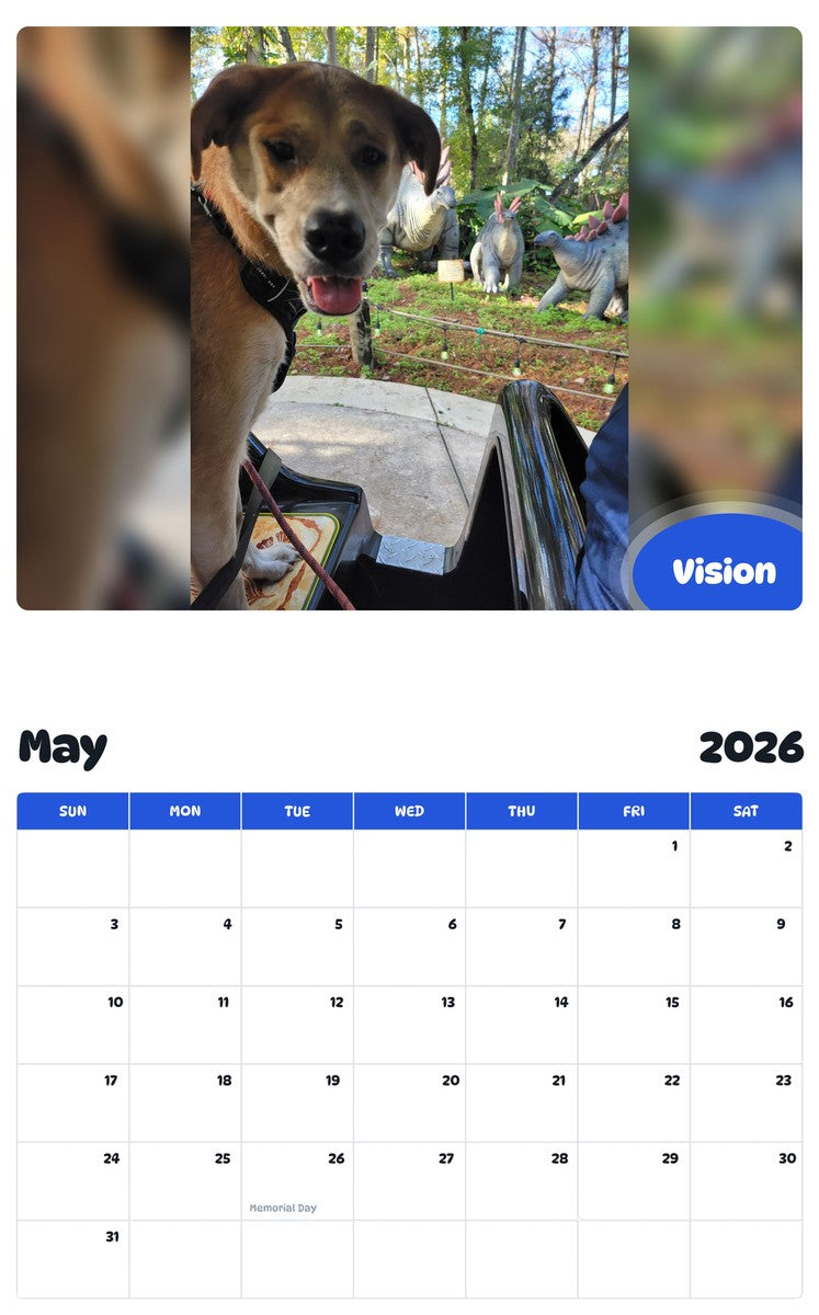 2026 - 2027 Vision - Pawidols Pet Calendar