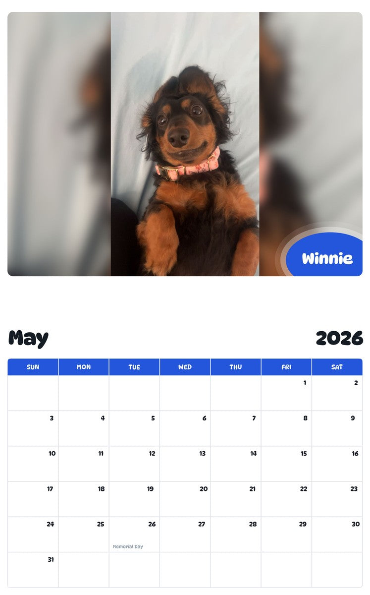 2026 - 2027 Winnie - Pawidols Pet Calendar