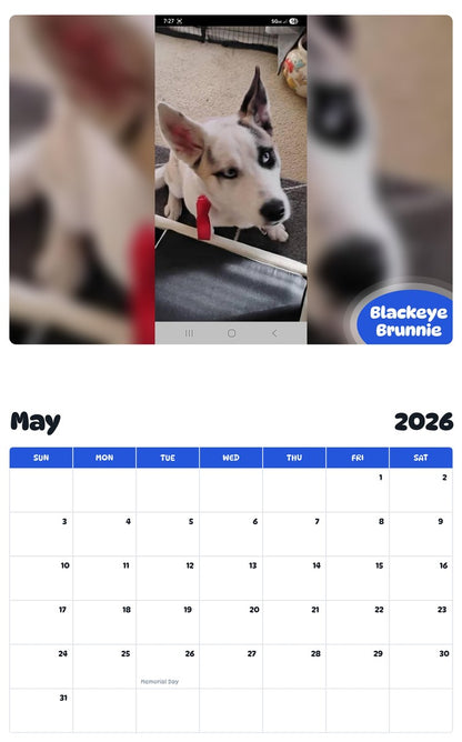 2026 - 2027 Blackeye Brunnie - Pawidols Pet Calendar