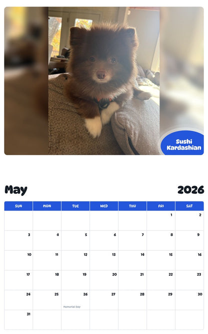 2026 - 2027 Sushi Kardashian - Pawidols Pet Calendar