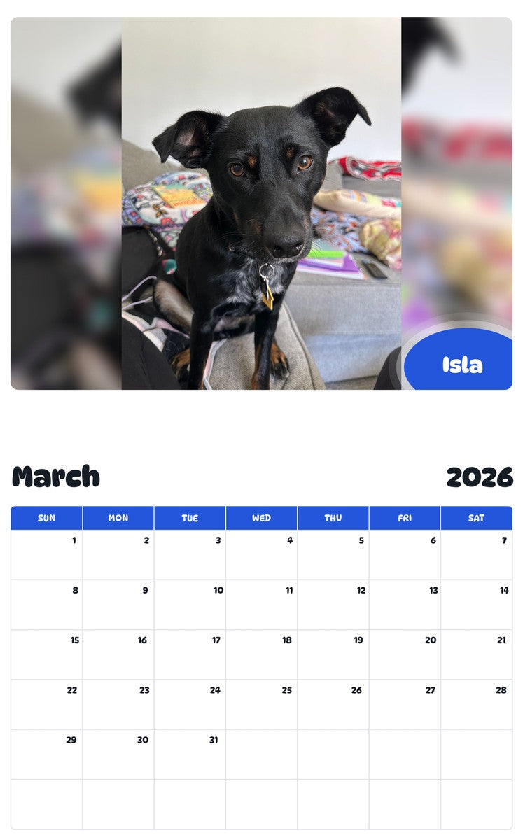 November 2025 - October 2026 Isla - Pawidols Pet Calendar