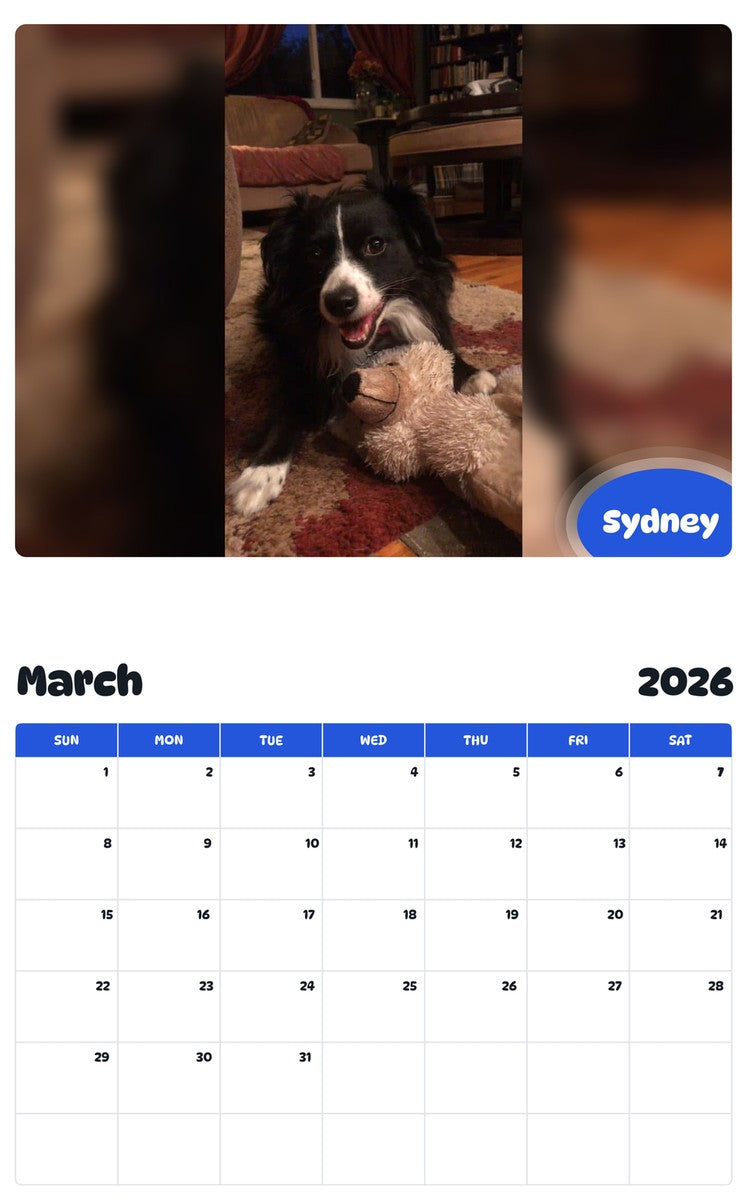 November 2025 - October 2026 Sydney - Pawidols Pet Calendar
