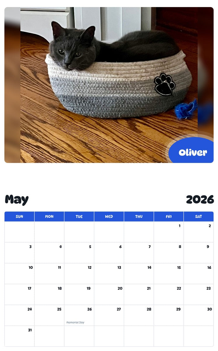 2026 - 2027 Oliver - Pawidols Pet Calendar