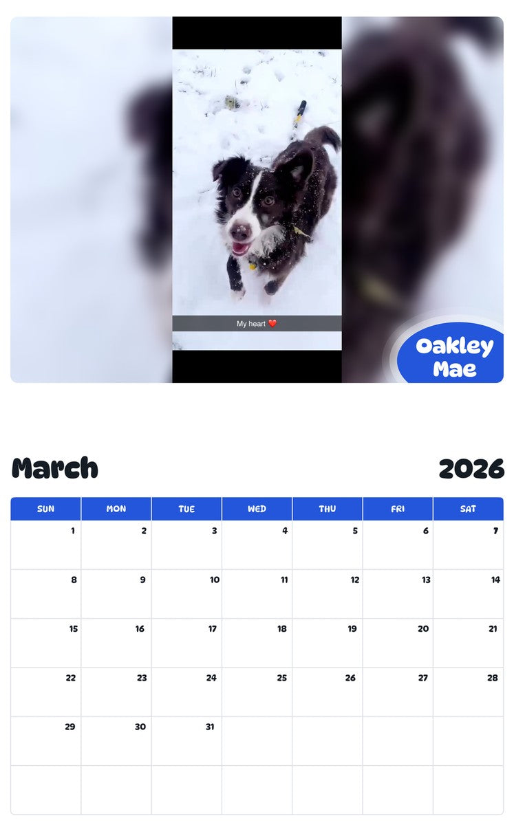 November 2025 - October 2026 Oakley Mae - Pawidols Pet Calendar
