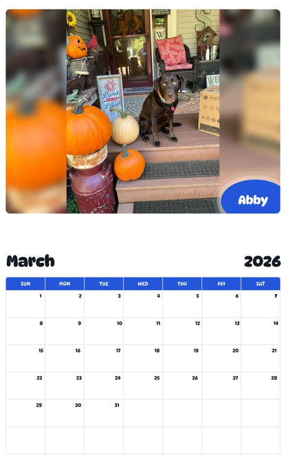 November 2025 - October 2026 Abby - Pawidols Pet Calendar