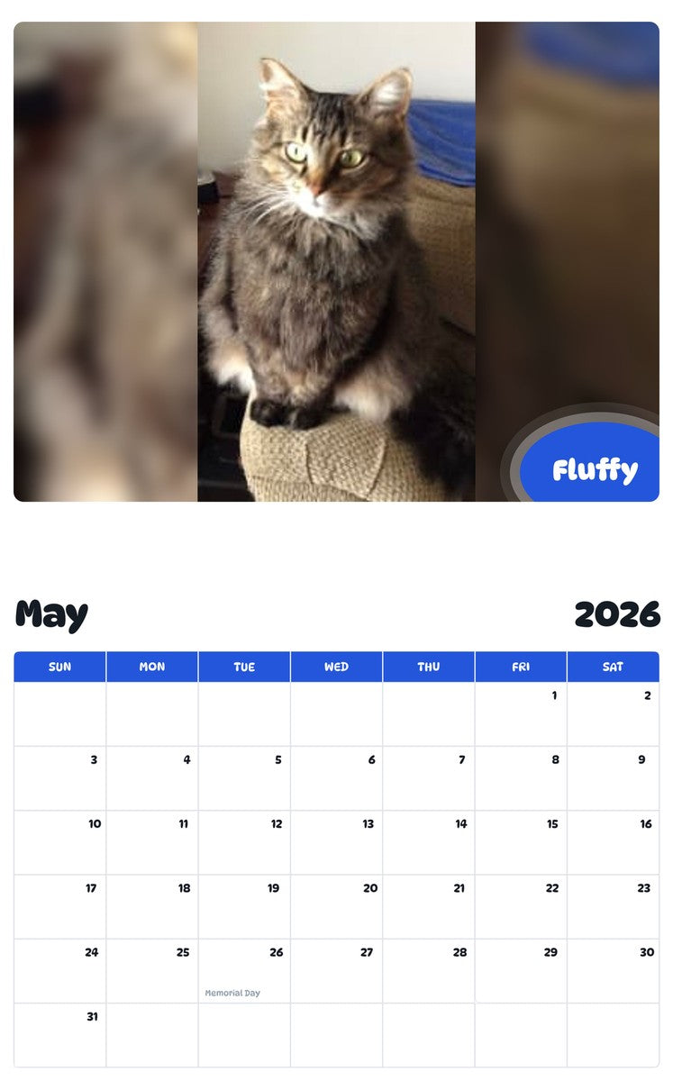2026 - 2027 Fluffy - Pawidols Pet Calendar
