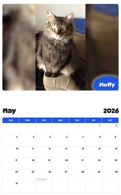 2026 - 2027 Fluffy - Pawidols Pet Calendar