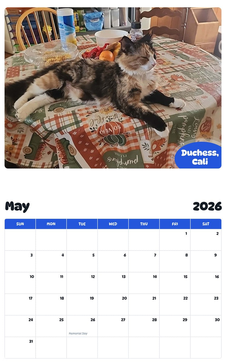 2026 - 2027 Duchess, Cali - Pawidols Pet Calendar