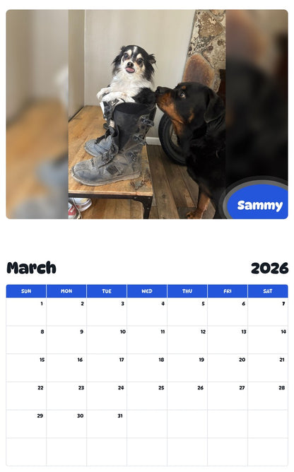 November 2025 - October 2026 Sammy - Pawidols Pet Calendar