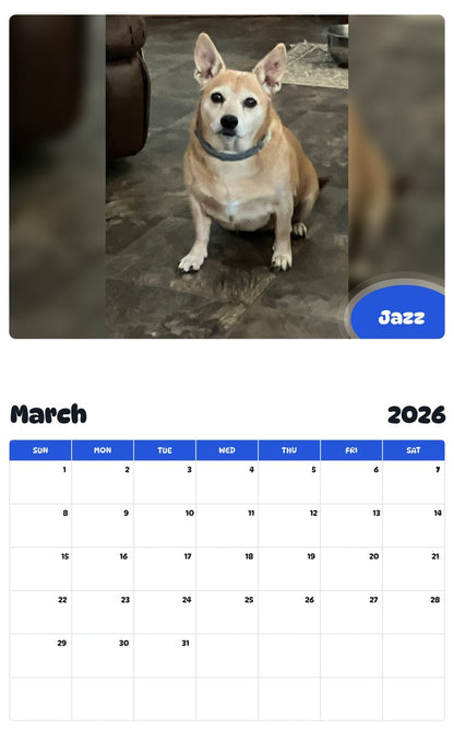 November 2025 - October 2026 Jazz - Pawidols Pet Calendar