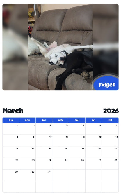 November 2025 - October 2026 Fidget - Pawidols Pet Calendar