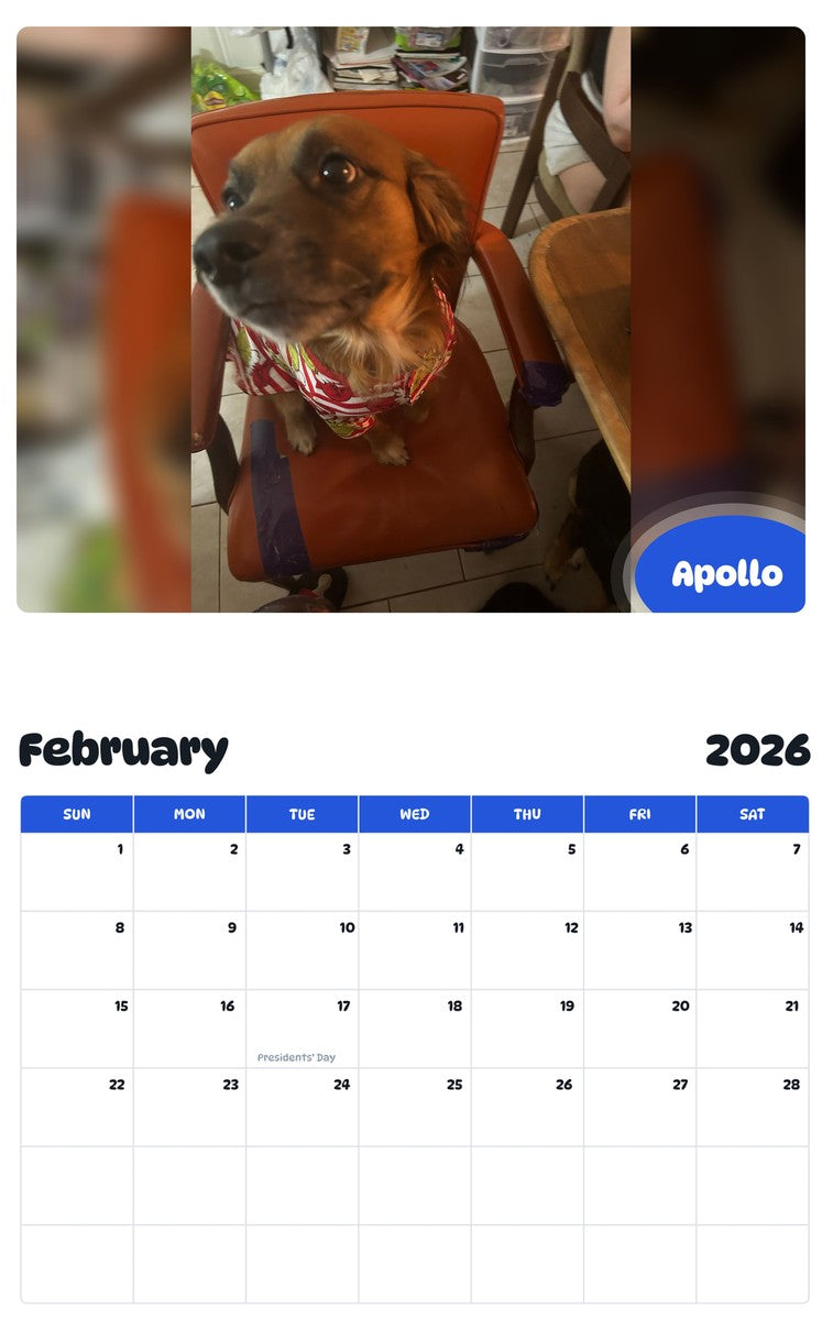 October 2025 - September 2026 Apollo - Pawidols Pet Calendar