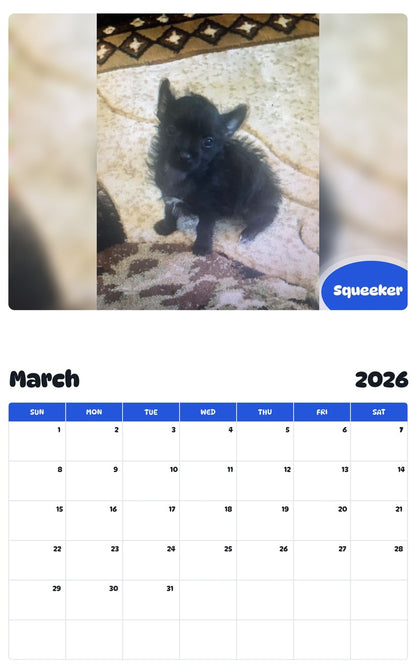November 2025 - October 2026 Squeeker - Pawidols Pet Calendar