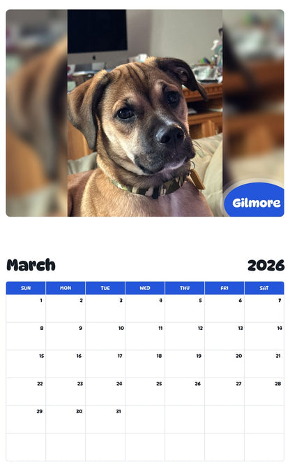 November 2025 - October 2026 Gilmore - Pawidols Pet Calendar