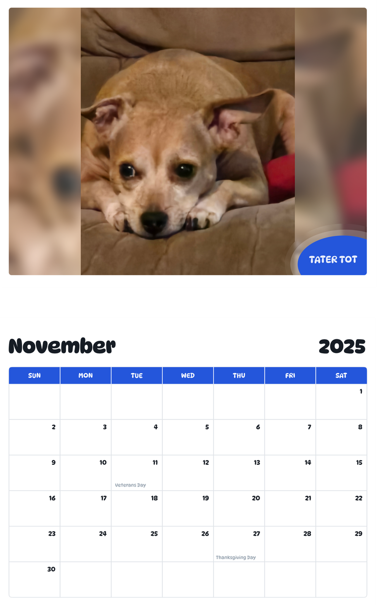 July 2025 - June 2026 Tater Tot - Pawidols Pet Calendar