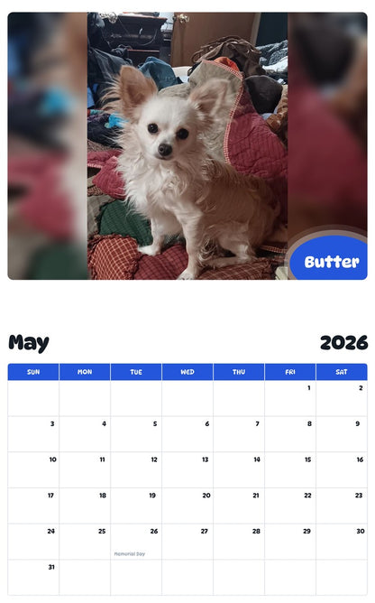 2026 - 2027 Butter - Pawidols Pet Calendar