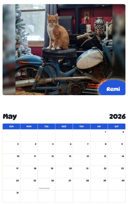 2026 - 2027 Remi - Pawidols Pet Calendar