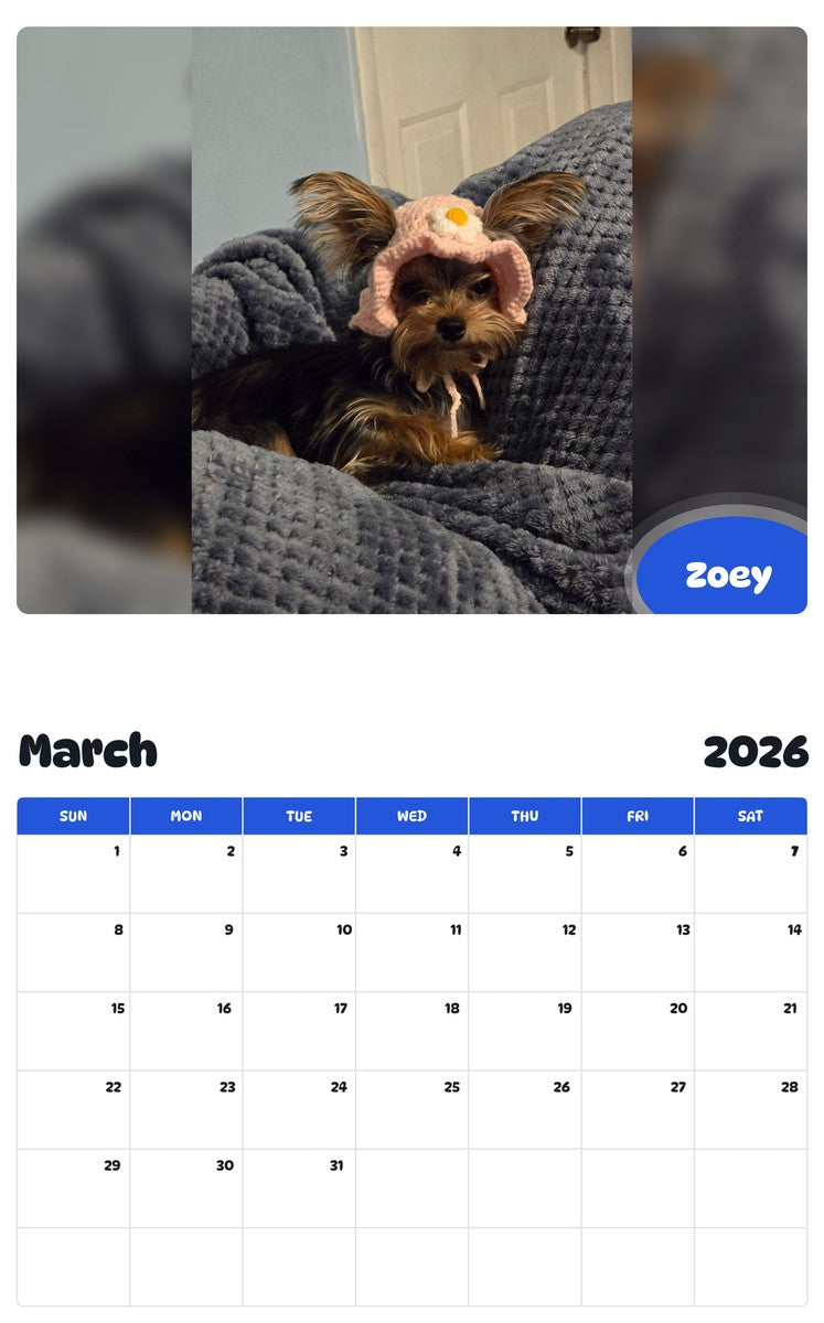 November 2025 - October 2026 Zoey - Pawidols Pet Calendar