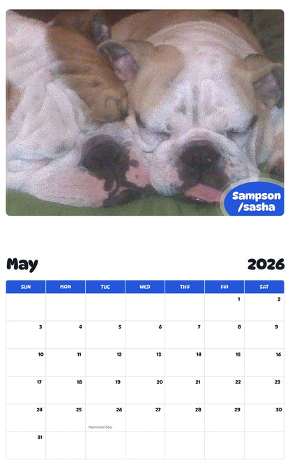 2026 - 2027 Sampson /sasha - Pawidols Pet Calendar
