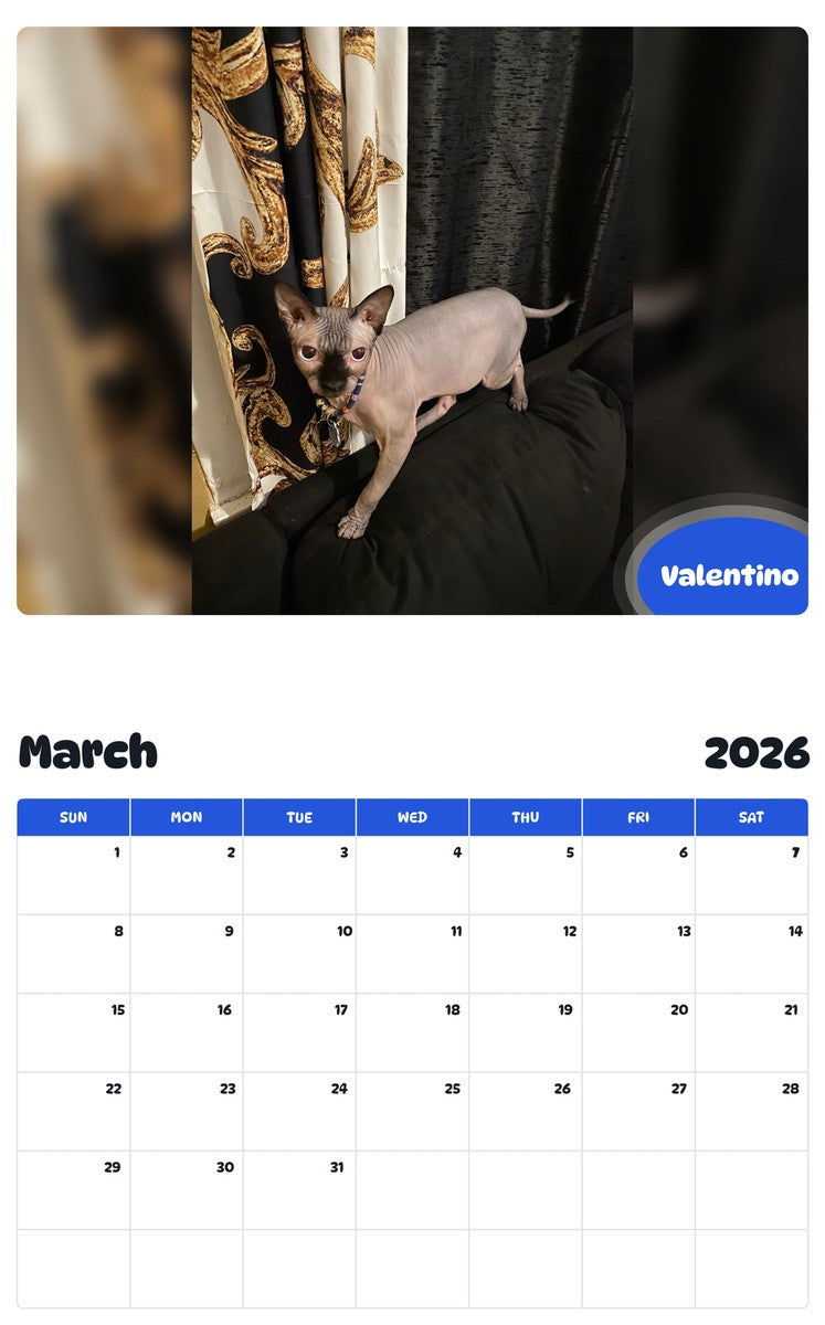 November 2025 - October 2026 Valentino - Pawidols Pet Calendar