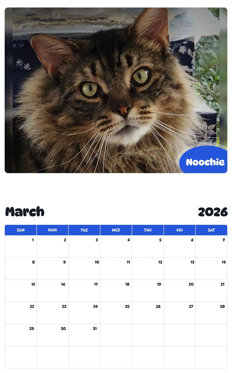 November 2025 - October 2026 Noochie - Pawidols Pet Calendar