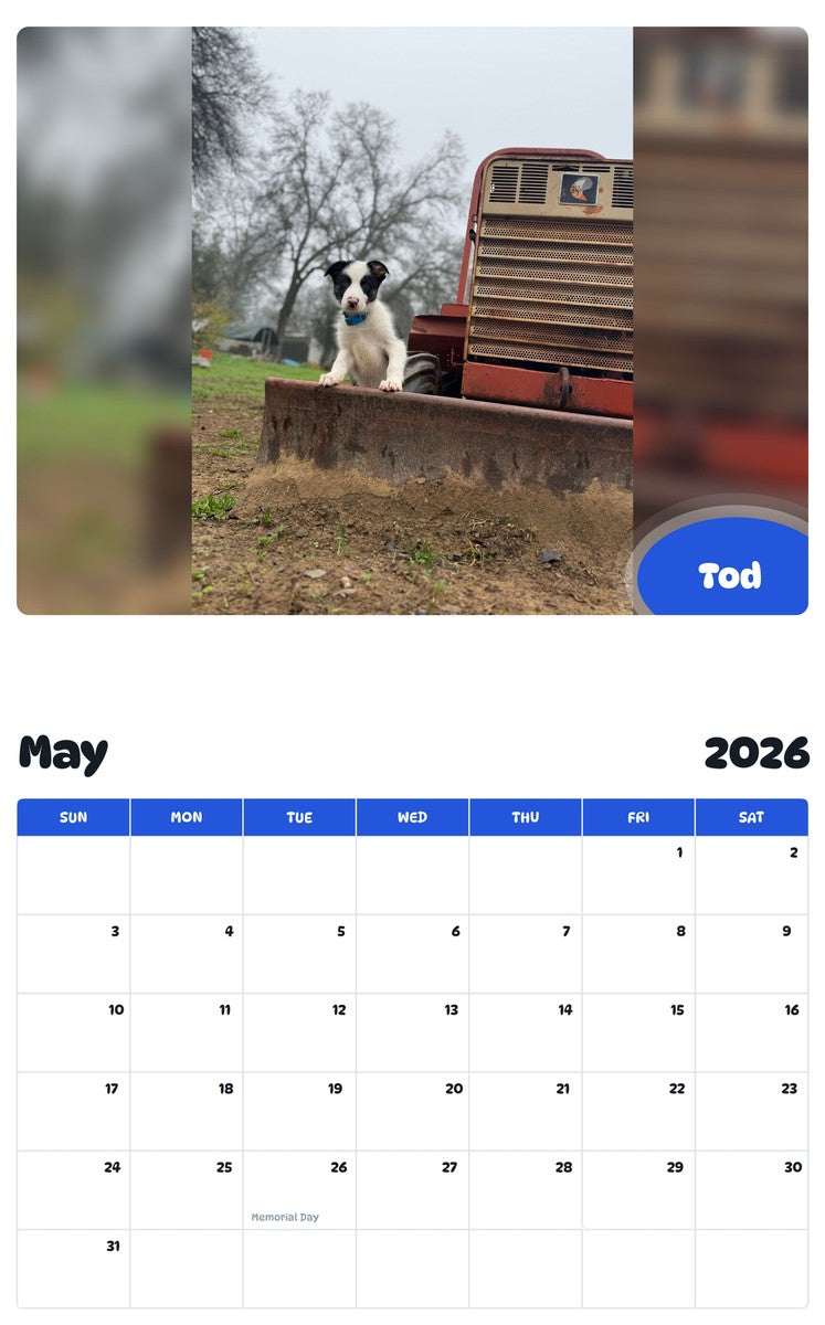 2026 - 2027 Tod - Pawidols Pet Calendar