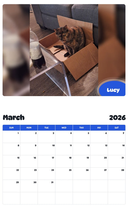 November 2025 - October 2026 Lucy - Pawidols Pet Calendar