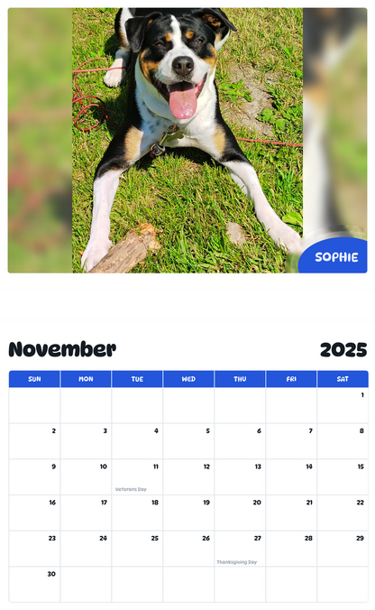 July 2025 - June 2026 Sophie - Pawidols Pet Calendar