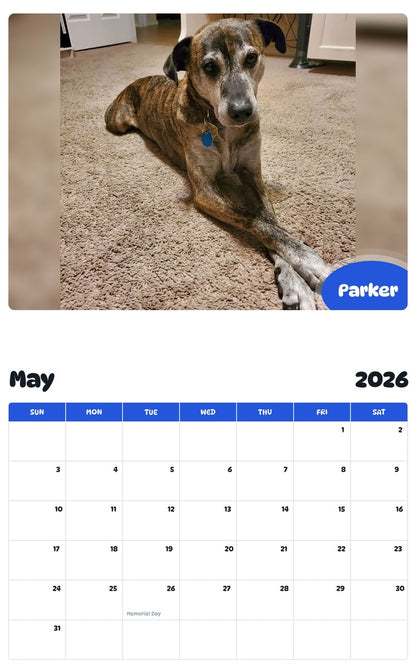2026 - 2027 Parker - Pawidols Pet Calendar
