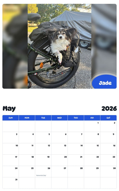 2026 - 2027 Jade - Pawidols Pet Calendar
