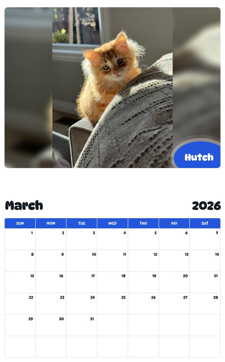 November 2025 - October 2026 Hutch - Pawidols Pet Calendar