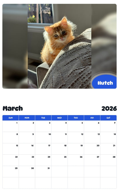 November 2025 - October 2026 Hutch - Pawidols Pet Calendar