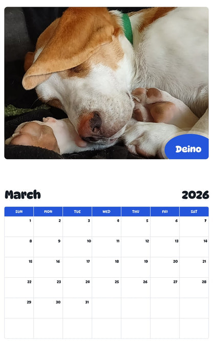 November 2025 - October 2026 Deino - Pawidols Pet Calendar