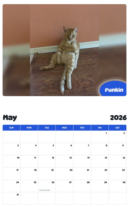 2026 - 2027 Punkin - Pawidols Pet Calendar